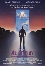 Mr. Destiny (1990) afişi