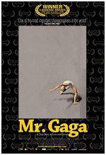 Mr. Gaga (2015) afişi