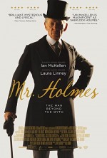 Mr. Maxman (2015) afişi