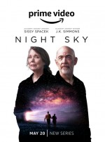 Night Sky (2022) afişi