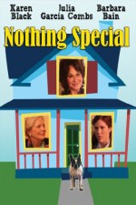 Nothing Special (2010) afişi