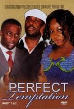 Perfect Temptation (2008) afişi
