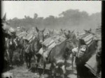 Pack Mules With Ammunition On The Santiago Trail, Cuba (1898) afişi