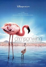 Pembe Kanatlar: Flamingolarin Gizemi (2008) afişi