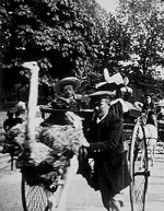 Promenade Of Ostriches, Paris Botanical Gardens (1896) afişi