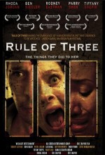 Rule Of Three (2008) afişi