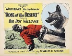 Rose of the Desert (1925) afişi