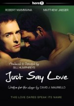 Sadece Sevgiye De (2009) afişi