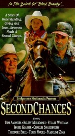Second Chances (1998) afişi