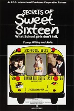 Secrets Of Sweet Sixteen (1973) afişi