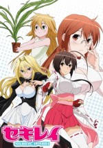 Sekirei (2008) afişi