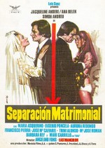 Separación Matrimonial (1973) afişi