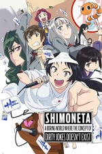 Shimoneta to Iu gainen ga sonzai shinai taikutsu na sekai  (2015) afişi