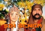 Şıh Senem (2003) afişi