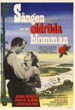 Sången om den eldröda blomman (1956) afişi