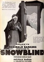 Snowblind (1921) afişi