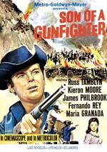 Son Of A Gunfighter (1965) afişi