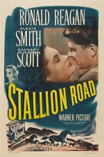 Stallion Road (1947) afişi