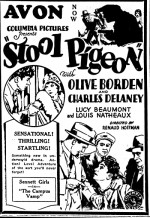 Stool Pigeon (1928) afişi