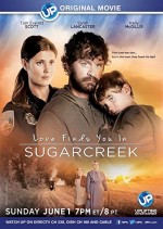 Sugarcreek’te Sevgiyi Bulmak (2014) afişi