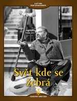 Svet Kde Se Zebrá (1938) afişi