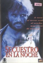 Terror in The Night (1994) afişi