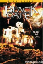 The Black Gate (1995) afişi