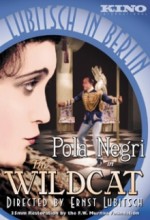 The Wildcat (1921) afişi