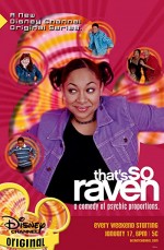 Tam Raven'a Göre (2003) afişi