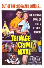 Teen-Age Crime Wave (1955) afişi