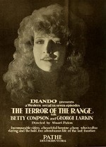 Terror Of The Range (1919) afişi