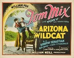 The Arizona Wildcat (1927) afişi