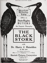 The Black Stork (1917) afişi