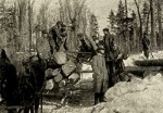 The Boss Of Lumber Camp Number Four (1912) afişi