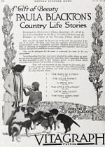 The Diary Of A Puppy (1917) afişi