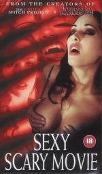 The Erotic Ghost (2001) afişi