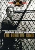 The Fugitive Kind (1959) afişi