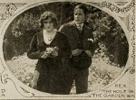 The Hole In The Garden Wall (1914) afişi