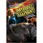 The Impossible Elephant (2001) afişi