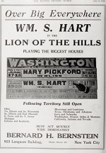 The Lion of the Hills (1918) afişi