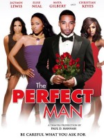 The Perfect Man (2011) afişi