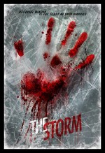 The Storm (2013) afişi