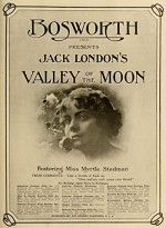 The Valley Of The Moon (1914) afişi