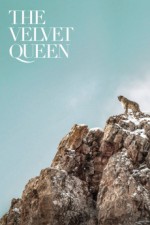 The Velvet Queen (2021) afişi