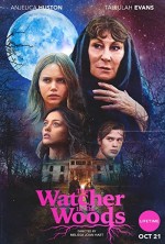 The Watcher in the Woods  (2017) afişi