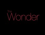 The Wonder (2014) afişi