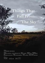 Things That Fall from the Sky (2016) afişi