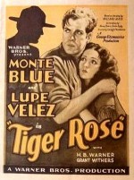 Tiger Rose (1929) afişi