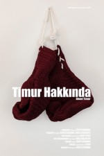 Timur Hakkında (2015) afişi