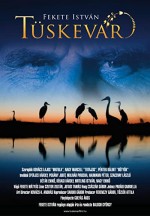 Tüskevár (2012) afişi